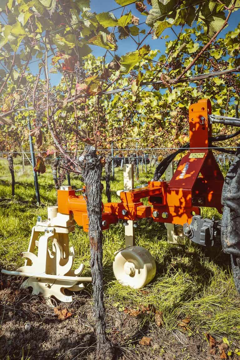 Braun Rotary Star Tiller
